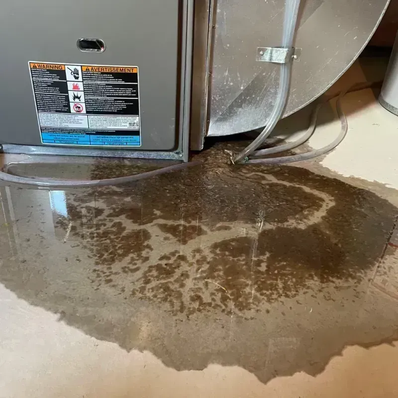 Appliance Leak Cleanup in Adair County, MO